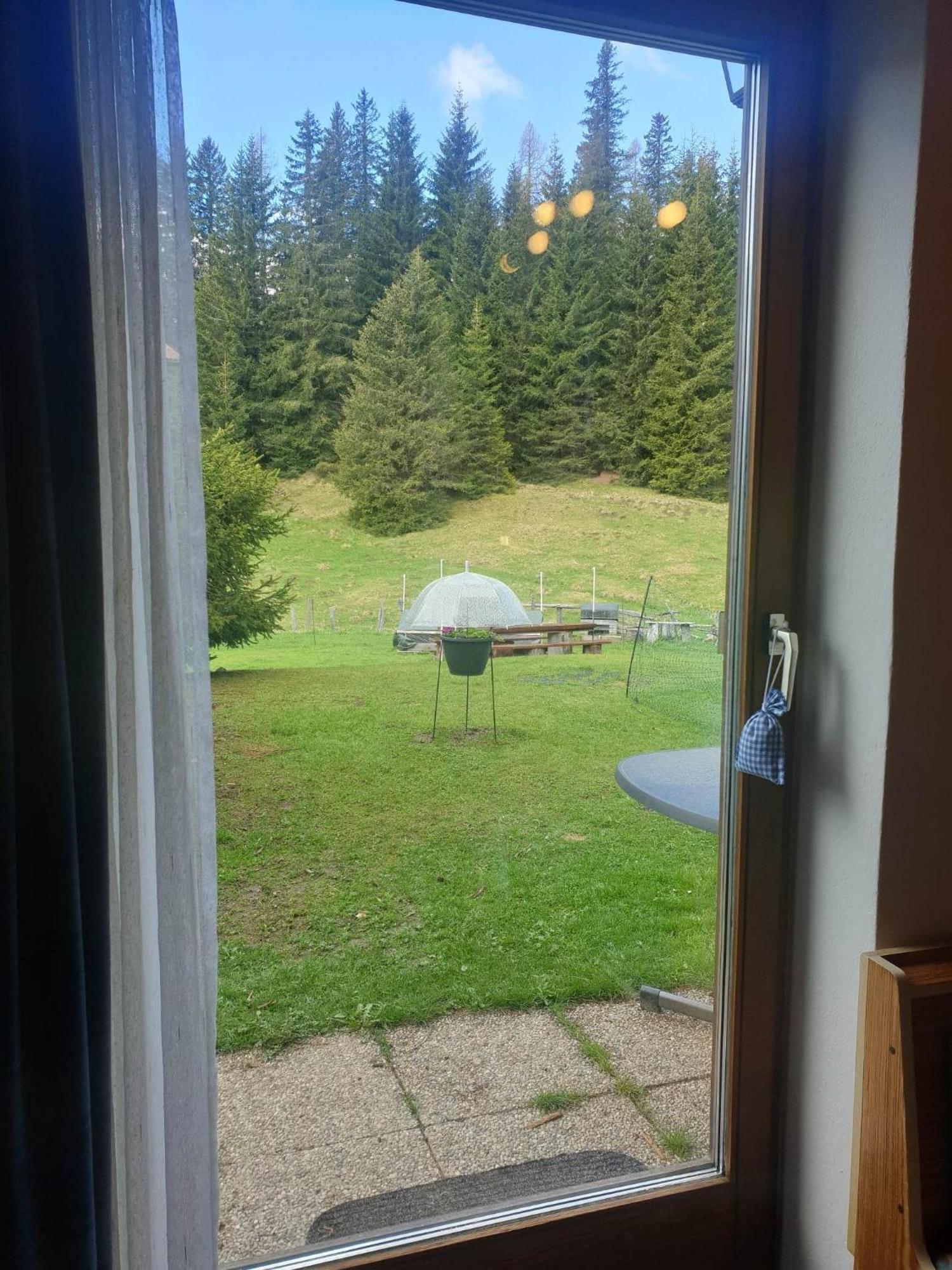 Schaefer - - Wintersports - Family - With Your Dog - Rural & Scenic *