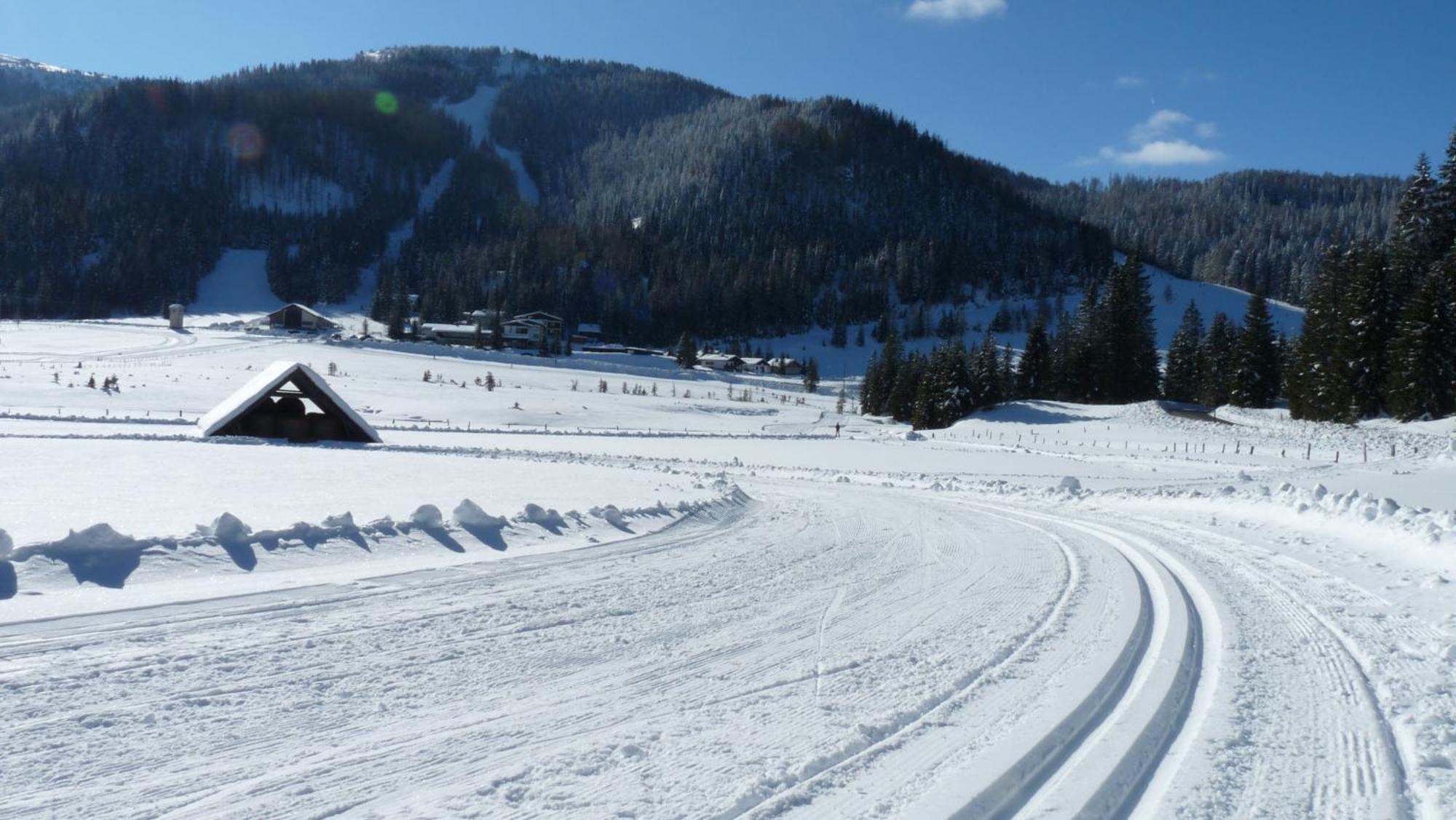 Schaefer - - Wintersports - Family - With Your Dog - Rural & Scenic * Flattnitz