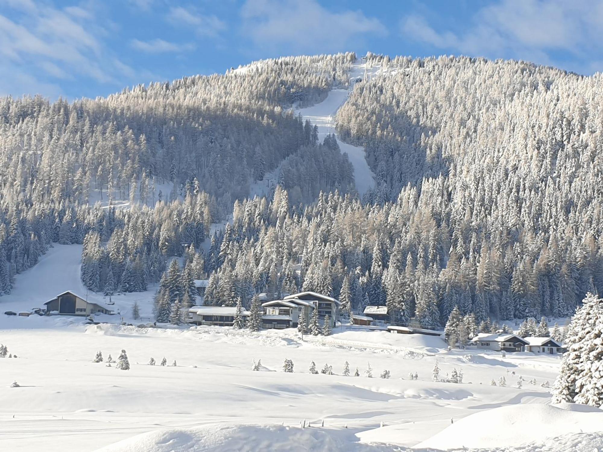 Schaefer - - Wintersports - Family - With Your Dog - Rural & Scenic Apartment