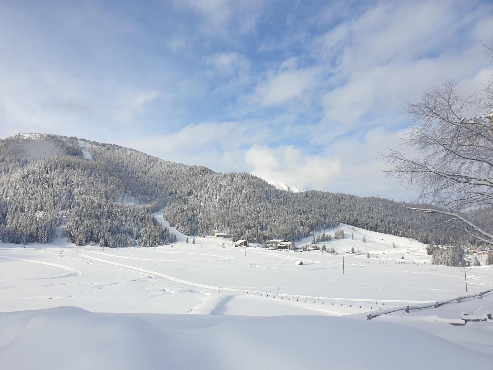 Apartment Schaefer - - Wintersports - Family - With Your Dog - Rural & Scenic