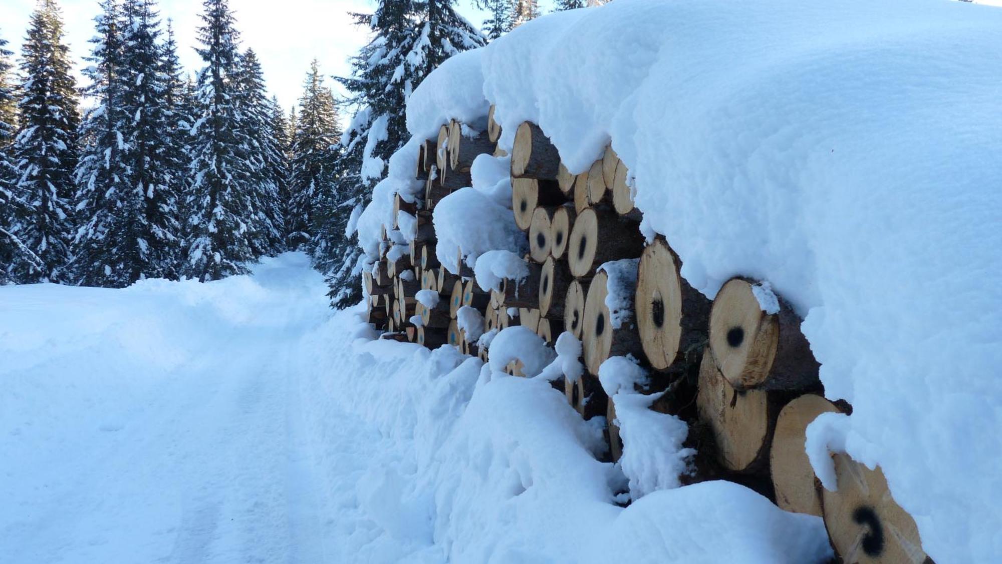 Apartment Schaefer - - Wintersports - Family - With Your Dog - Rural & Scenic *