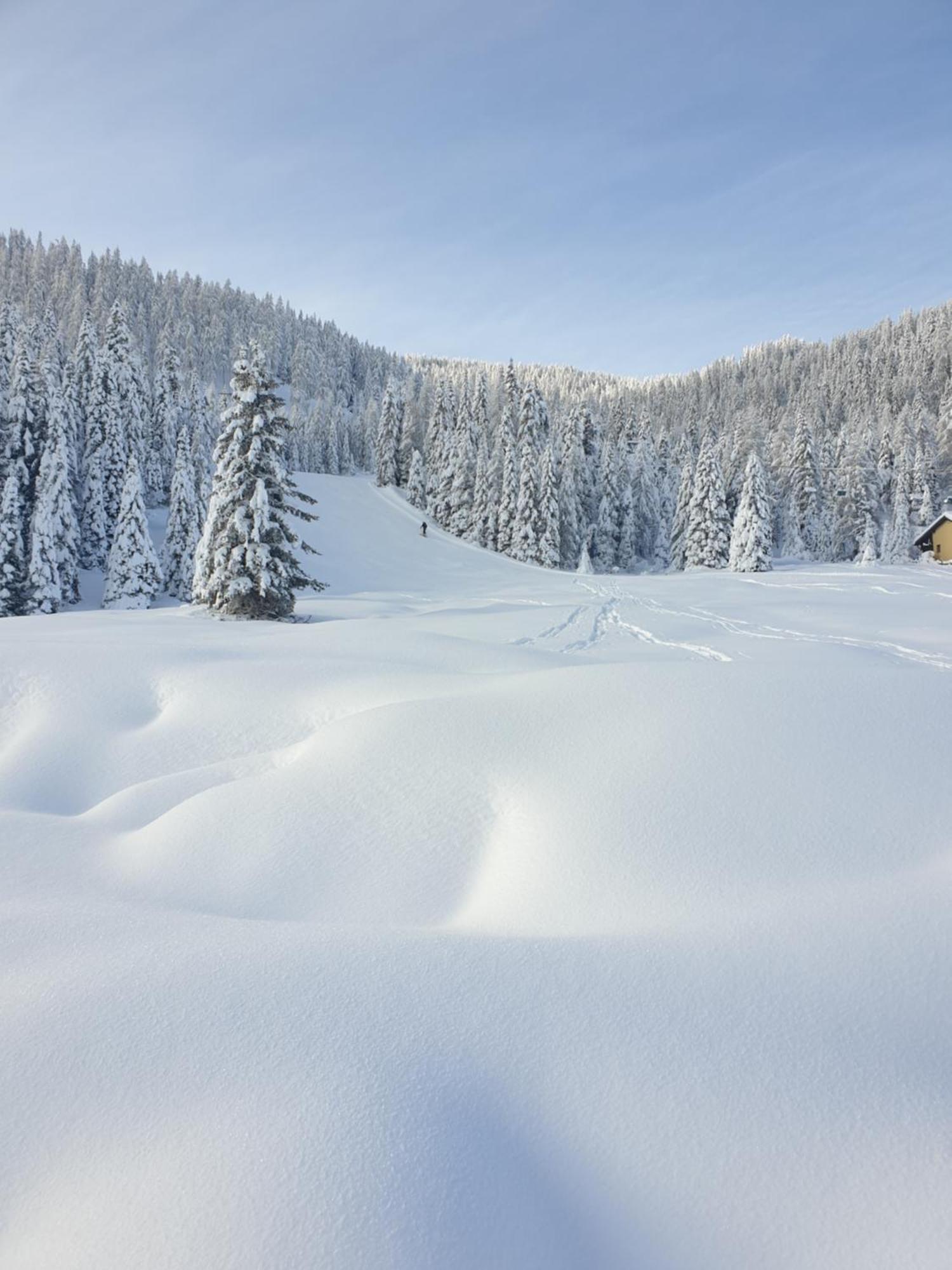 Schaefer - - Wintersports - Family - With Your Dog - Rural & Scenic * Flattnitz