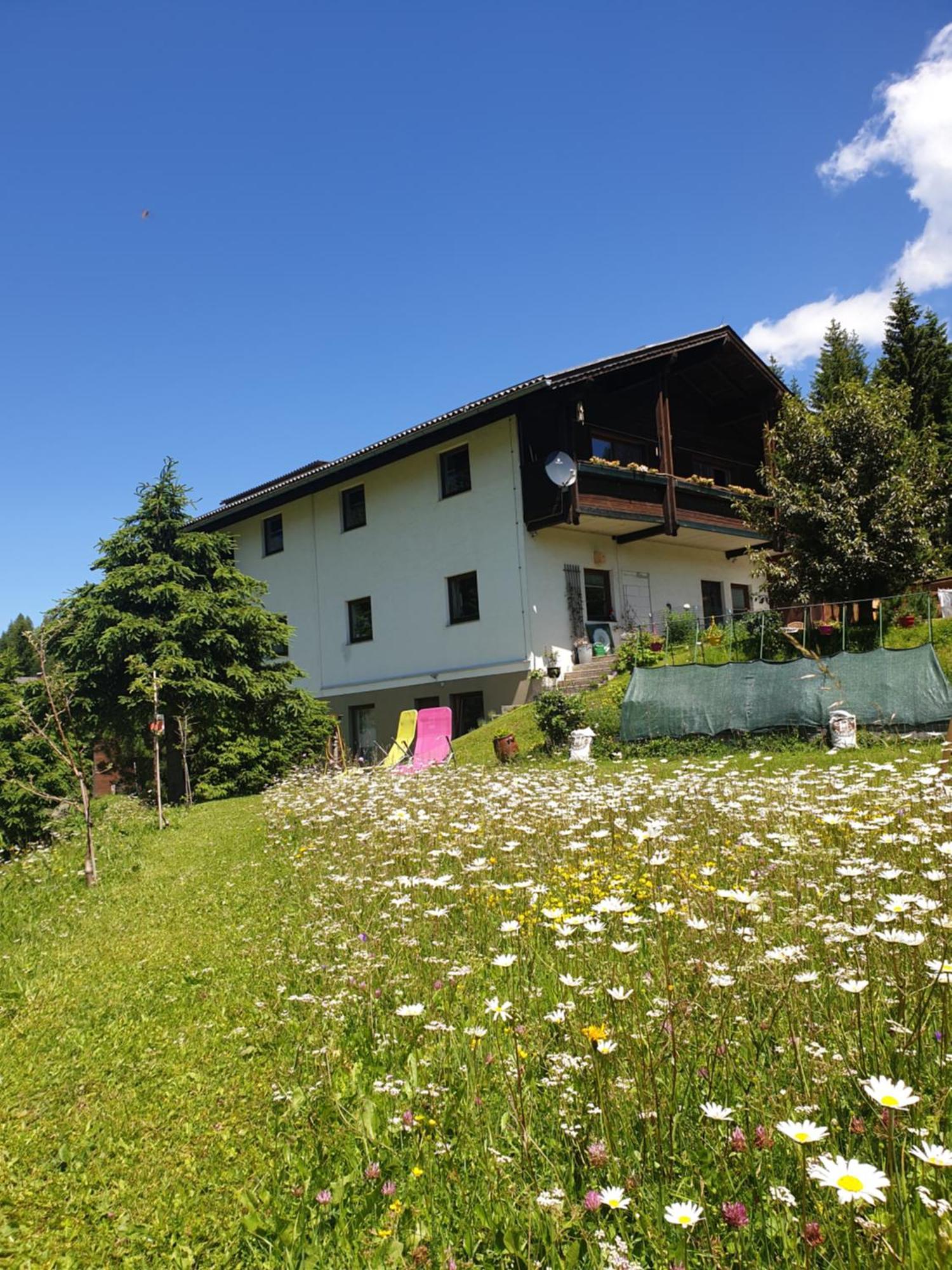Schaefer - - Wintersports - Family - With Your Dog - Rural & Scenic Apartment