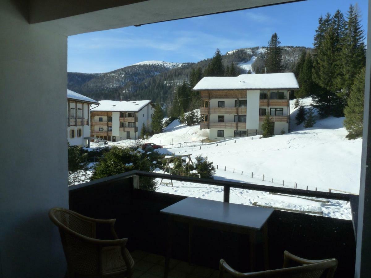 Schaefer - - Wintersports - Family - With Your Dog - Rural & Scenic *