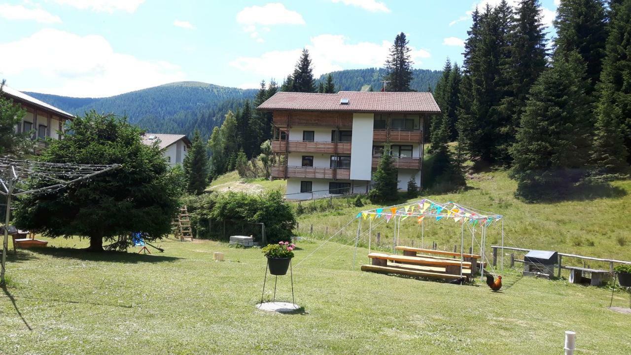 Apartment Schaefer - - Wintersports - Family - With Your Dog - Rural & Scenic Flattnitz