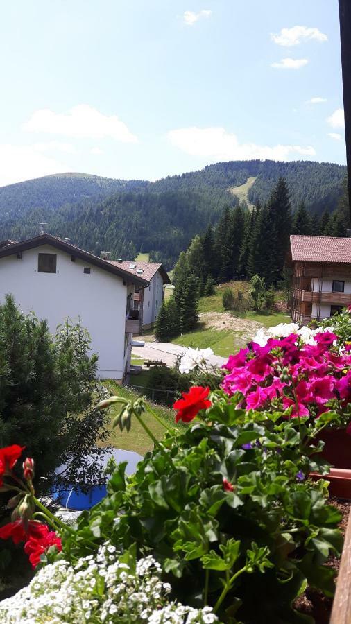 Schaefer - - Wintersports - Family - With Your Dog - Rural & Scenic Apartment *